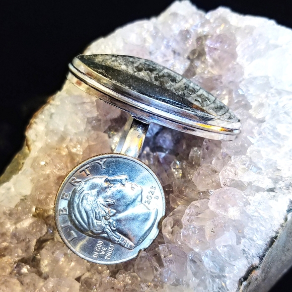💚2 for $40💚NWOT Natural Orthoceras Fossilized Stone .925 Sterling Overlay Ring - Picture 11 of 12